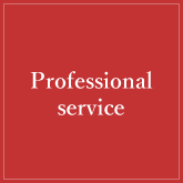 Professional service