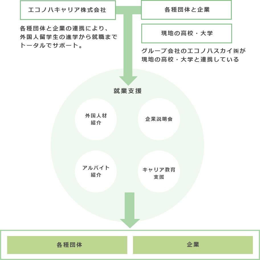 エコノハキャリア株式会社の仕組み図。外国人留学生への就職・アルバイト支援として、外国人人材紹介、キャリア教育支援、企業説明会、アルバイト紹介を通じて、企業や各種団体と連携しトータルサポートを行う流れを説明。